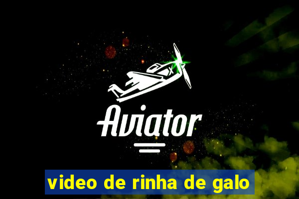 video de rinha de galo